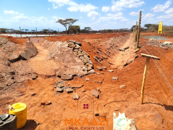 17-acre income-generating farm for sale in Mata, Taveta featuring mature Muguka cultivation, a 6-million-litre dam, borehole, irrigation system, indigenous trees, and electric fencing.