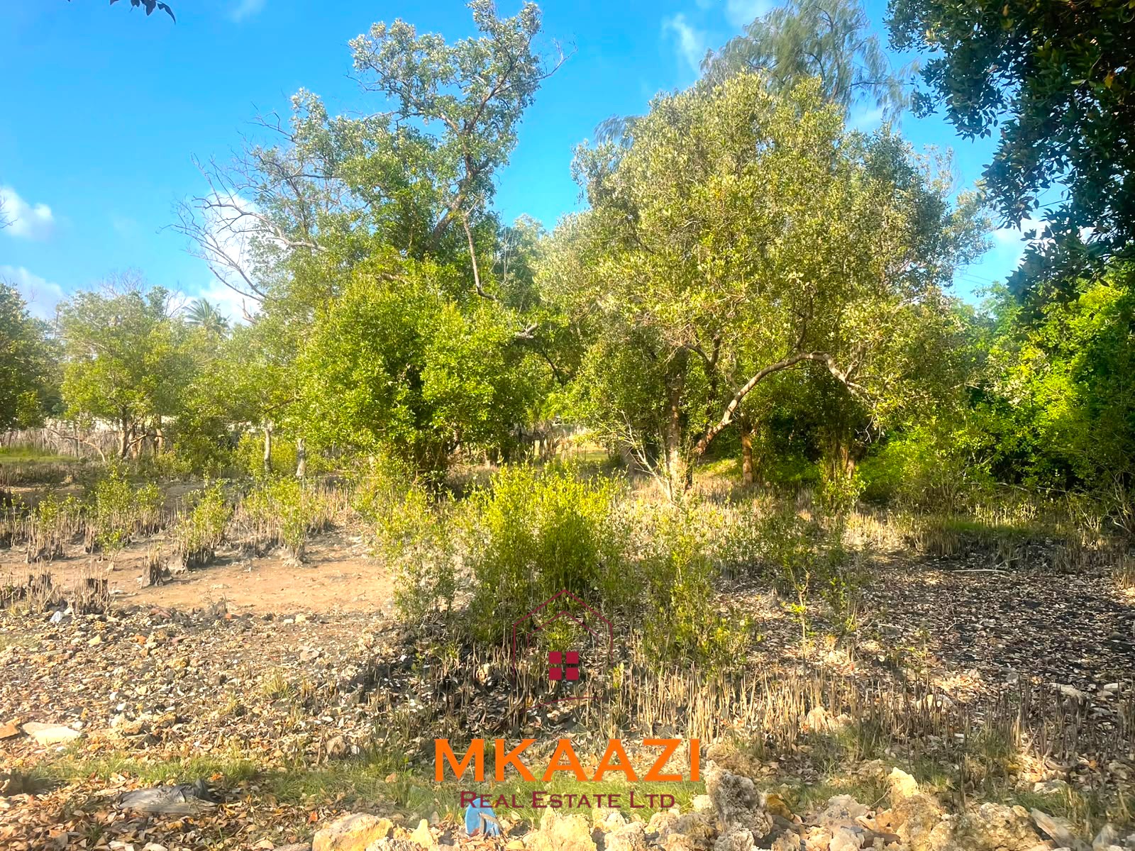 Half-acre freehold road frontage plot for sale in Watamu South near the beach, ideal for hospitality, residential, commercial, or investment development.