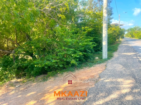Half-acre freehold road frontage plot for sale in Watamu South near the beach, ideal for hospitality, residential, commercial, or investment development.
