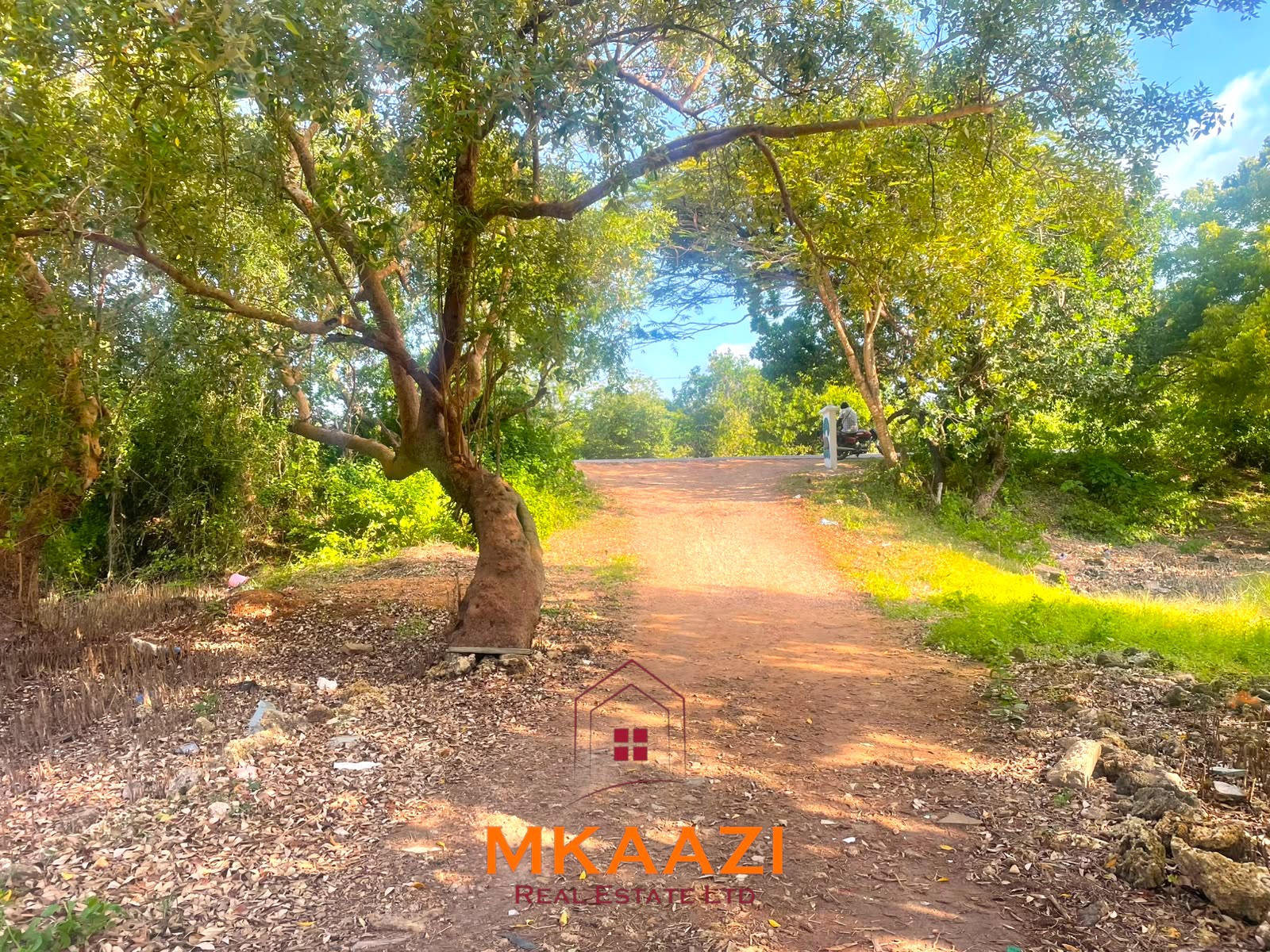 Half-acre freehold road frontage plot for sale in Watamu South near the beach, ideal for hospitality, residential, commercial, or investment development.