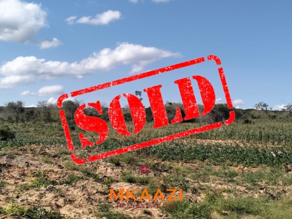 🌿 Exceptional 103-Acre Freehold Parcel for Sale in Dakacha, Malindi