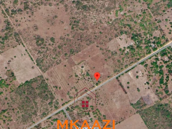 Prime 1-acre freehold plots for sale in Ndeu, Hindi, Lamu County with fertile virgin land, excellent road access, and strong investment potential.