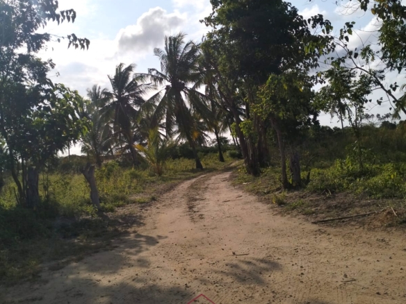 Prime 1-acre freehold plots for sale in Ndeu, Hindi, Lamu County with fertile virgin land, excellent road access, and strong investment potential.