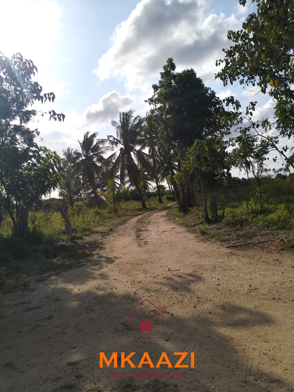 1 Acre Freehold Plots for Sale in Hindi, Lamu Prime 1-acre freehold plots for sale in Ndeu, Hindi, Lamu County with fertile virgin land, excellent road access, and strong investment potential.