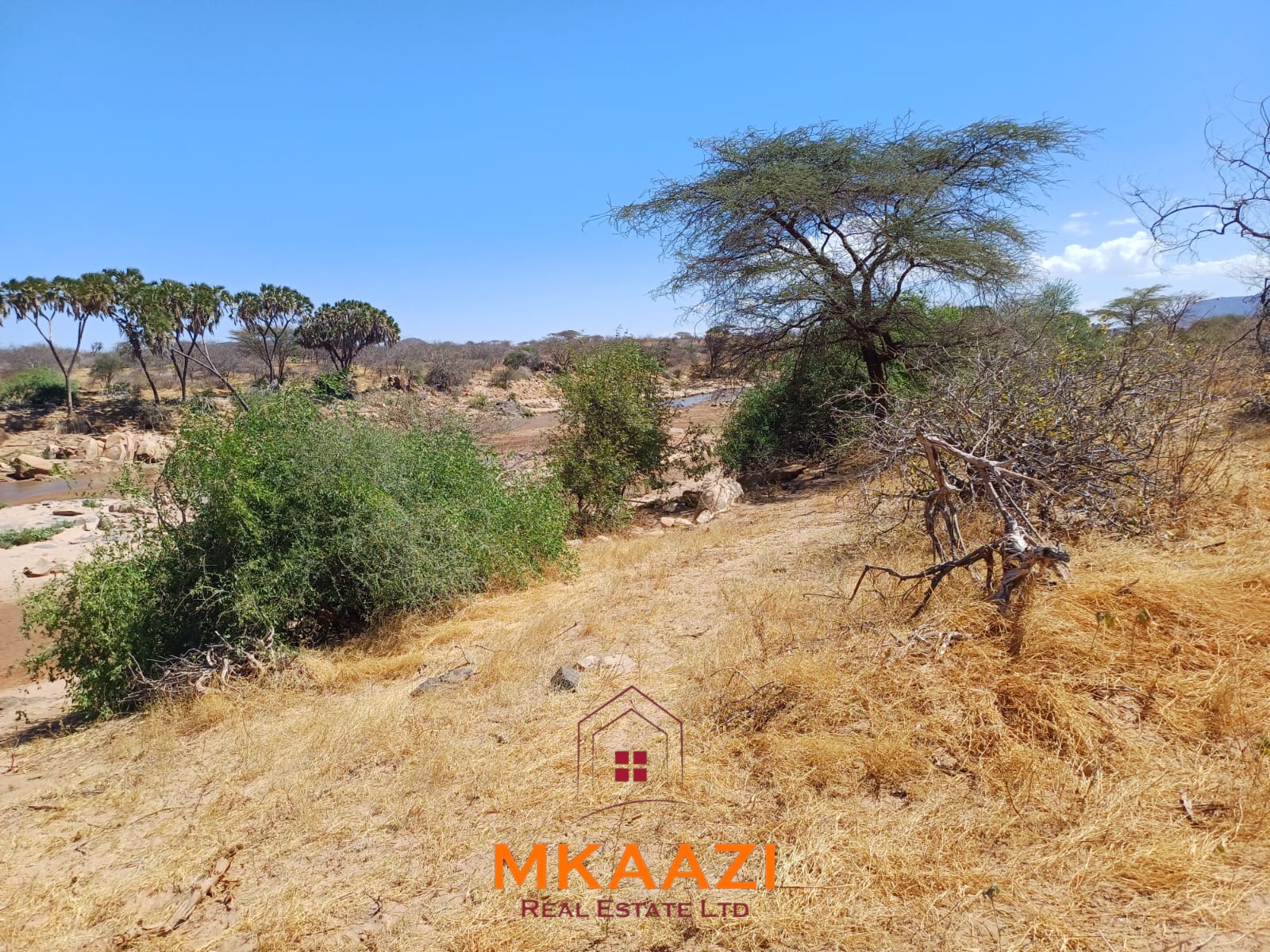 100,986 Acre Ranch for Sale in Samburu 100,986.71-acre freehold ranch and development land for sale in Archers Post, Samburu with permanent rivers, airstrip, high groundwater potential, and ideal for conservation, ranching, tourism, and agriculture.