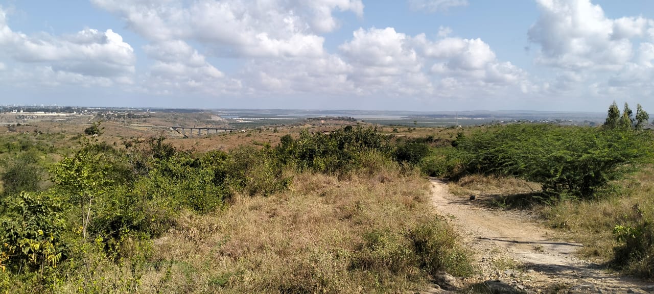 Prime 50×100 Plots for Sale in Mazeras, Bonje – From KSh 1.5 Million