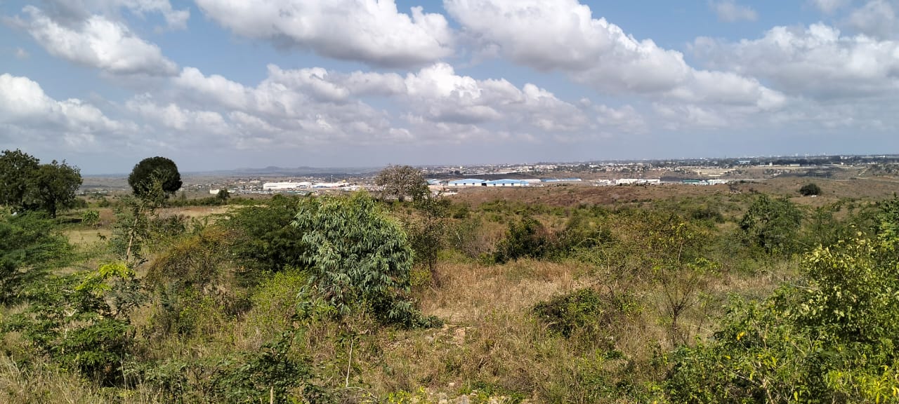 Prime 50×100 Plots for Sale in Mazeras, Bonje – From KSh 1.5 Million