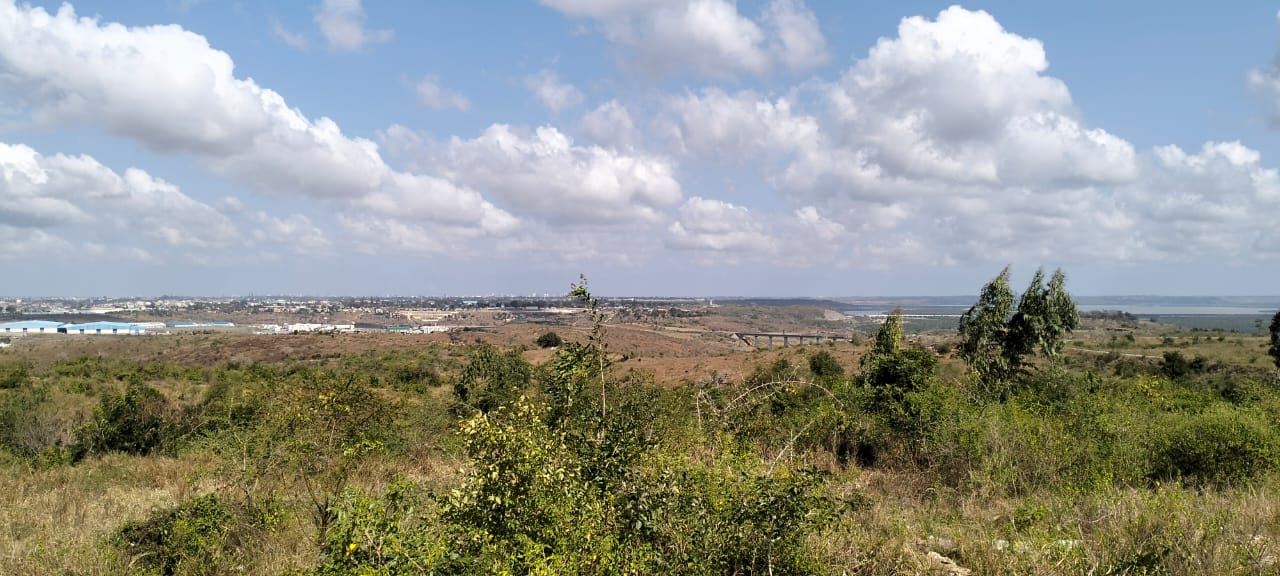50×100 Plots for Sale in Mazeras Bonje | From KSh 1.5M