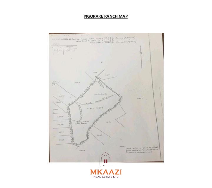 27,000-Acre Prime Ranch for Sale in Laikipia – Ngorare Ranch | KSh 350,000 per Acre