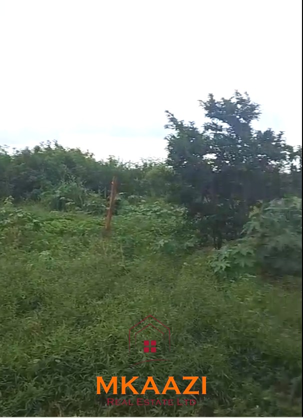 3.75-acre second-row beach plot for sale on Manda Island, Lamu, adjacent to Manda Airport and ideal for resort, eco-lodge, holiday home, or tourism development.