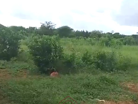 3.75-acre second-row beach plot for sale on Manda Island, Lamu, adjacent to Manda Airport and ideal for resort, eco-lodge, holiday home, or tourism development.