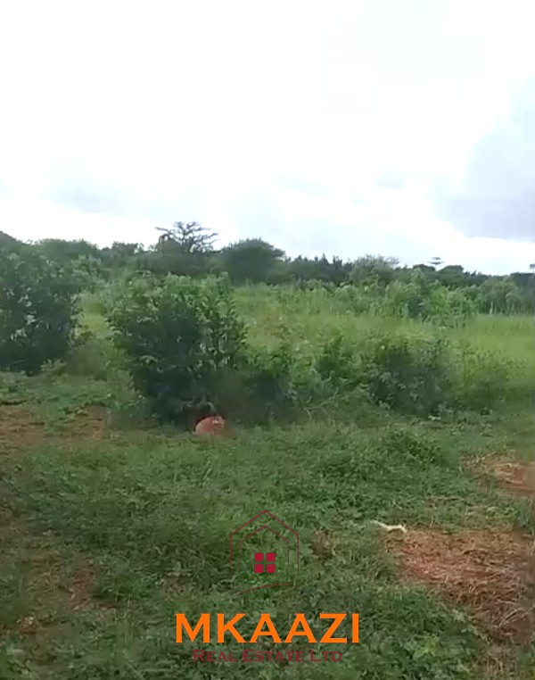 3.75-acre second-row beach plot for sale on Manda Island, Lamu, adjacent to Manda Airport and ideal for resort, eco-lodge, holiday home, or tourism development.
