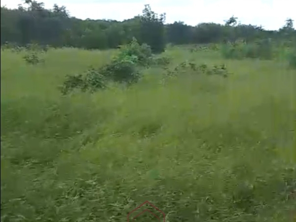 3.75-acre second-row beach plot for sale on Manda Island, Lamu, adjacent to Manda Airport and ideal for resort, eco-lodge, holiday home, or tourism development.