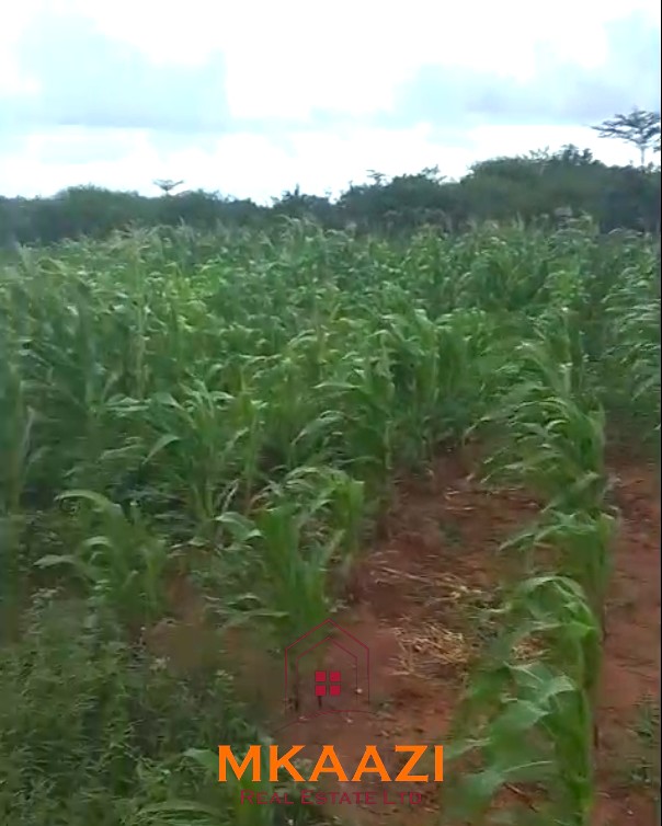 3.75-acre second-row beach plot for sale on Manda Island, Lamu, adjacent to Manda Airport and ideal for resort, eco-lodge, holiday home, or tourism development.