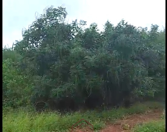 3.75-acre second-row beach plot for sale on Manda Island, Lamu, adjacent to Manda Airport and ideal for resort, eco-lodge, holiday home, or tourism development.