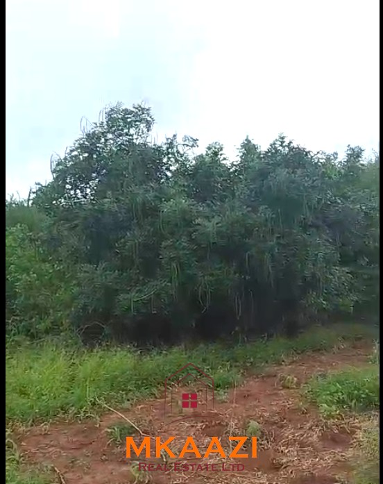 3.75-acre second-row beach plot for sale on Manda Island, Lamu, adjacent to Manda Airport and ideal for resort, eco-lodge, holiday home, or tourism development.
