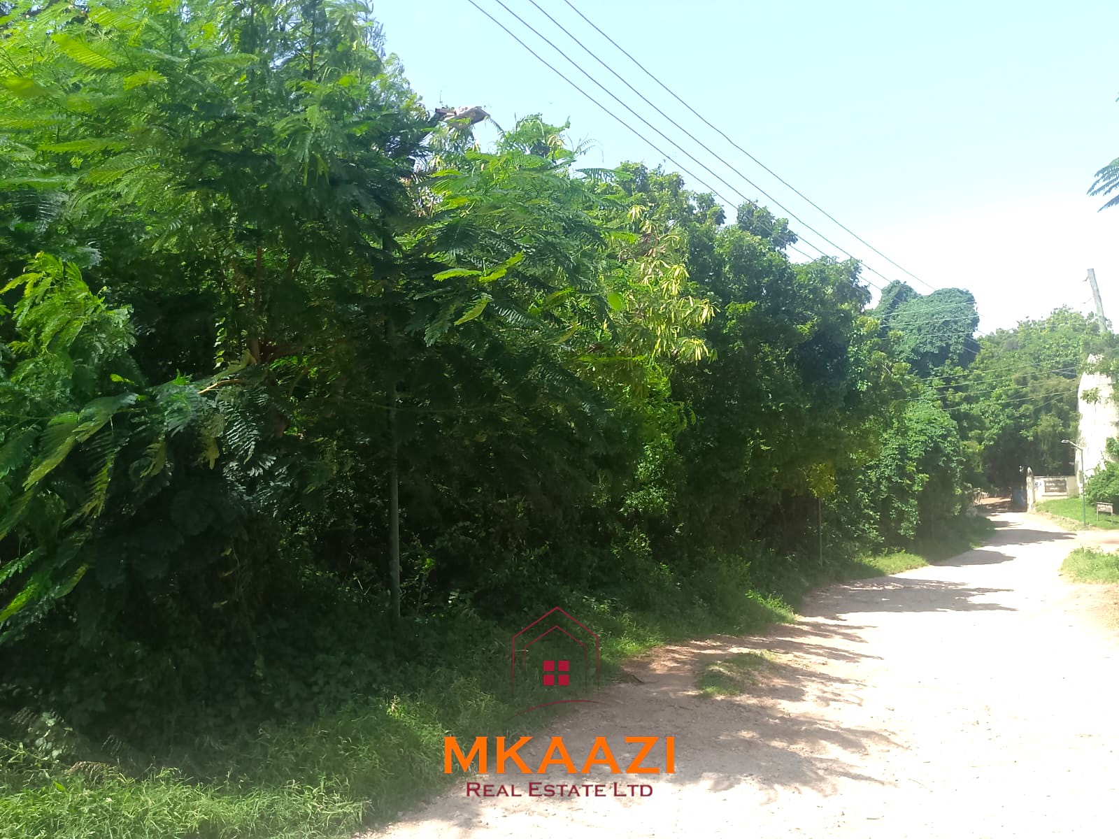 Half-Acre Plot on Casuarina Road Malindi for Sale Half-acre road frontage plot for sale on Casuarina Road, Malindi, near the beach and Marine Park, suitable for apartments, restaurants, resorts, and hospitality developments.