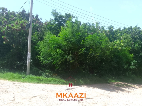 Half-acre road frontage plot for sale on Casuarina Road, Malindi, near the beach and Marine Park, suitable for apartments, restaurants, resorts, and hospitality developments.