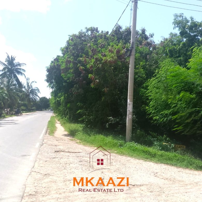 Half-acre road frontage plot for sale on Casuarina Road, Malindi, near the beach and Marine Park, suitable for apartments, restaurants, resorts, and hospitality developments.