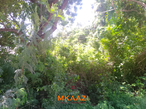 Half-acre road frontage plot for sale on Casuarina Road, Malindi, near the beach and Marine Park, suitable for apartments, restaurants, resorts, and hospitality developments.