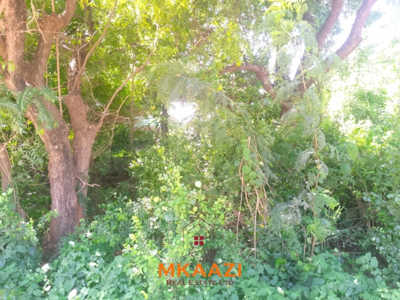 Half-acre road frontage plot for sale on Casuarina Road, Malindi, near the beach and Marine Park, suitable for apartments, restaurants, resorts, and hospitality developments.