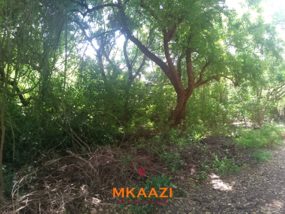 Half-acre road frontage plot for sale on Casuarina Road, Malindi, near the beach and Marine Park, suitable for apartments, restaurants, resorts, and hospitality developments.