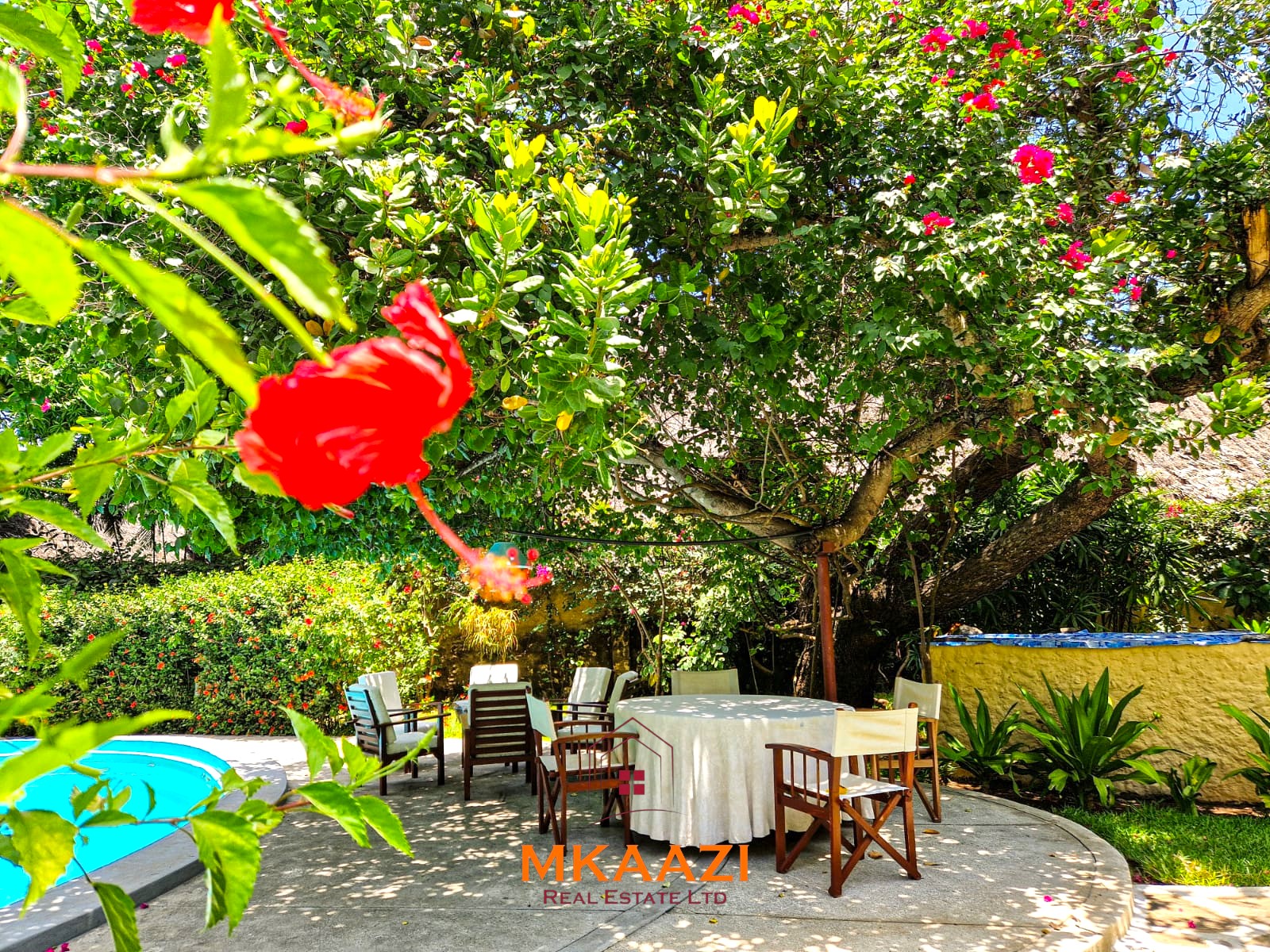 Luxury fully furnished 4-bedroom ensuite villa in Watamu available for Summertides Festival accommodation with swimming pool, Wi-Fi, air conditioning, housekeeping, and 24-hour security.