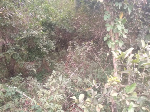 10-acre strategic land for sale near Sultan and Emali, directly opposite Tumbuini School and fronting the Kavuthu access road, less than 500 metres from Mombasa Road.