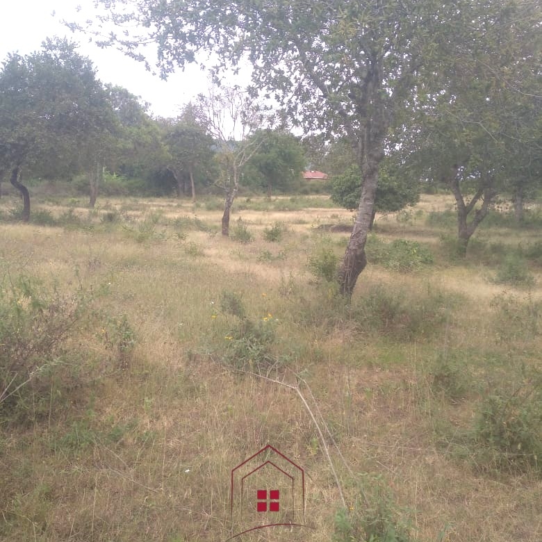 10-acre strategic land for sale near Sultan and Emali, directly opposite Tumbuini School and fronting the Kavuthu access road, less than 500 metres from Mombasa Road.