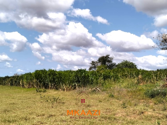 7-acre freehold agricultural land for sale or lease in Nyamala near River Sabaki with red soil, irrigation access, Napier grass cultivation, and elevated flood-safe terrain.
