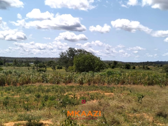 7-acre freehold agricultural land for sale or lease in Nyamala near River Sabaki with red soil, irrigation access, Napier grass cultivation, and elevated flood-safe terrain.