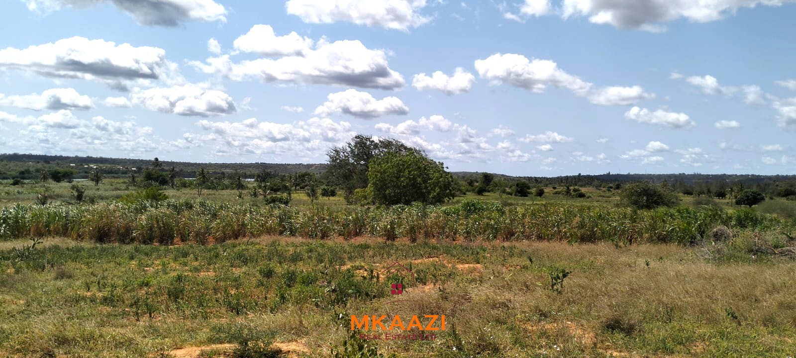 7-acre freehold agricultural land for sale or lease in Nyamala near River Sabaki with red soil, irrigation access, Napier grass cultivation, and elevated flood-safe terrain.