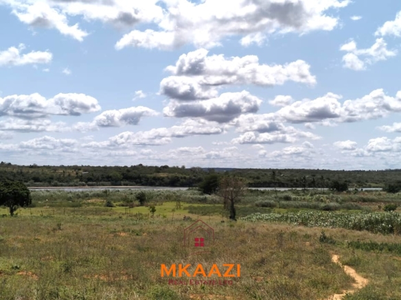 7-acre freehold agricultural land for sale or lease in Nyamala near River Sabaki with red soil, irrigation access, Napier grass cultivation, and elevated flood-safe terrain.