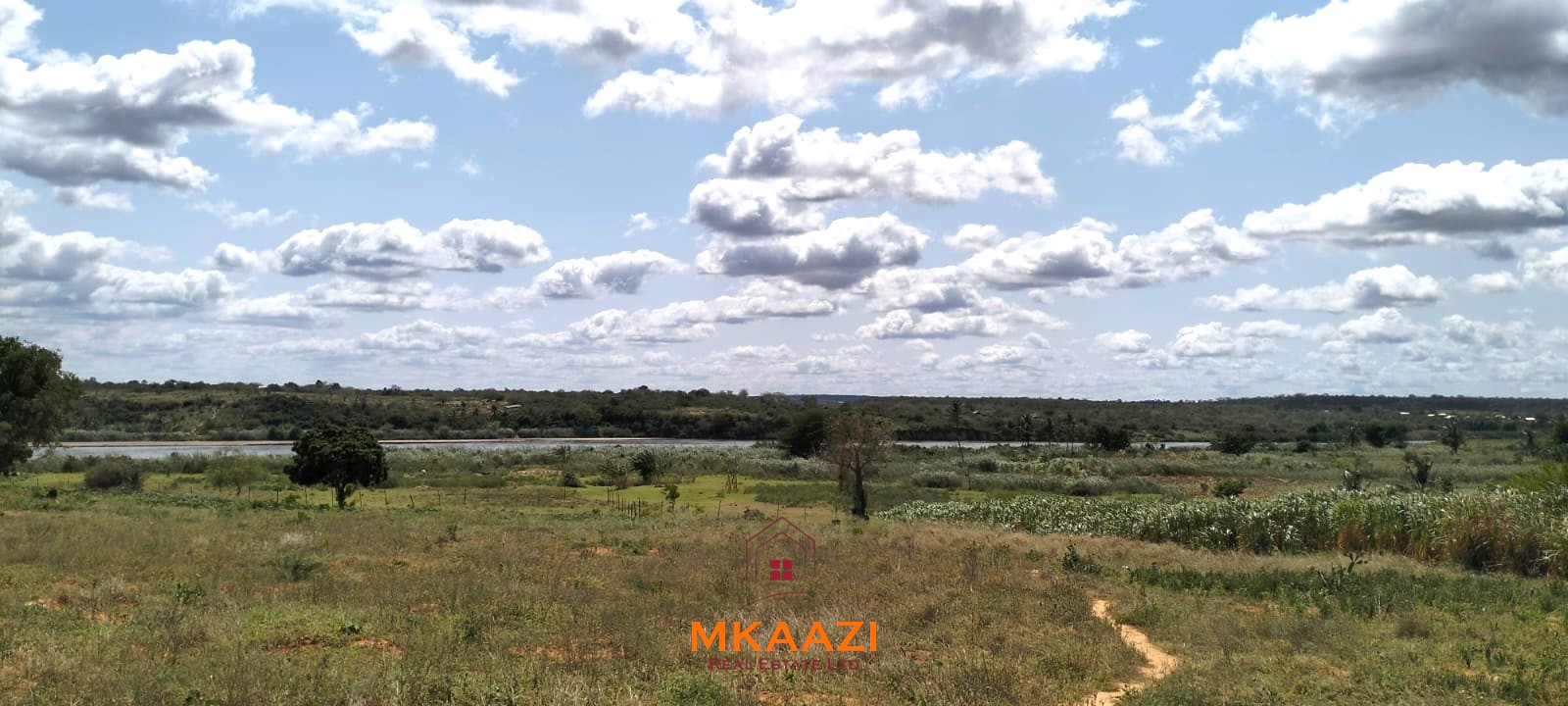 7-acre freehold agricultural land for sale or lease in Nyamala near River Sabaki with red soil, irrigation access, Napier grass cultivation, and elevated flood-safe terrain.