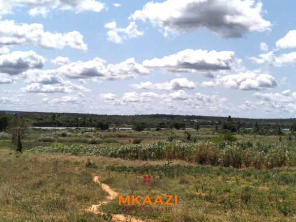 7-acre freehold agricultural land for sale or lease in Nyamala near River Sabaki with red soil, irrigation access, Napier grass cultivation, and elevated flood-safe terrain.