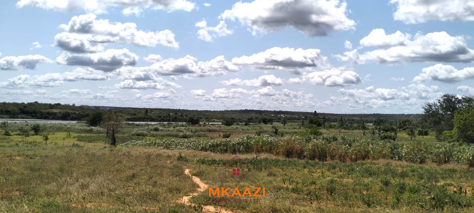 7-acre freehold agricultural land for sale or lease in Nyamala near River Sabaki with red soil, irrigation access, Napier grass cultivation, and elevated flood-safe terrain.