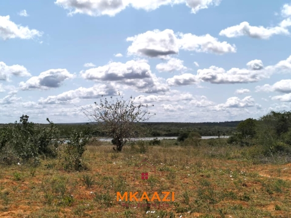 7-acre freehold agricultural land for sale or lease in Nyamala near River Sabaki with red soil, irrigation access, Napier grass cultivation, and elevated flood-safe terrain.