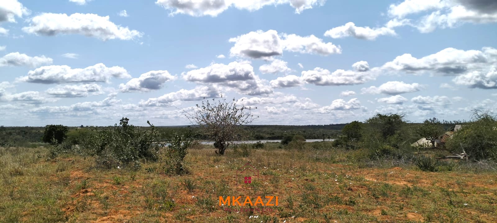 7-acre freehold agricultural land for sale or lease in Nyamala near River Sabaki with red soil, irrigation access, Napier grass cultivation, and elevated flood-safe terrain.