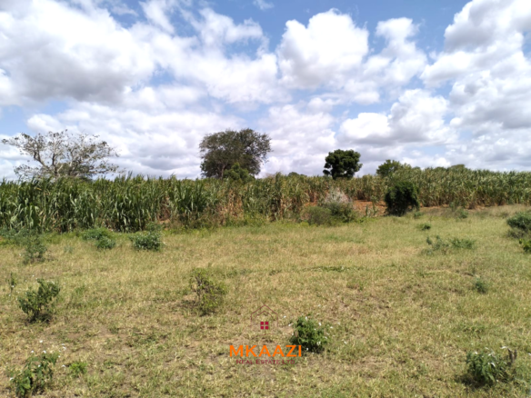 7-acre freehold agricultural land for sale or lease in Nyamala near River Sabaki with red soil, irrigation access, Napier grass cultivation, and elevated flood-safe terrain.