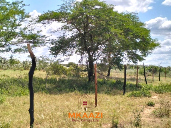 7-acre freehold agricultural land for sale or lease in Nyamala near River Sabaki with red soil, irrigation access, Napier grass cultivation, and elevated flood-safe terrain.