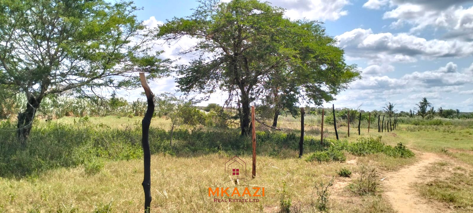7-acre freehold agricultural land for sale or lease in Nyamala near River Sabaki with red soil, irrigation access, Napier grass cultivation, and elevated flood-safe terrain.