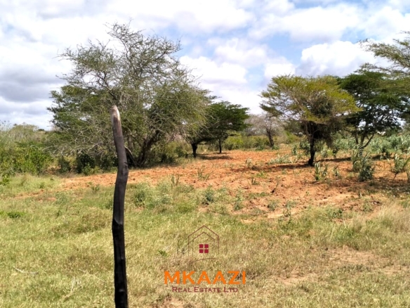 7-acre freehold agricultural land for sale or lease in Nyamala near River Sabaki with red soil, irrigation access, Napier grass cultivation, and elevated flood-safe terrain.