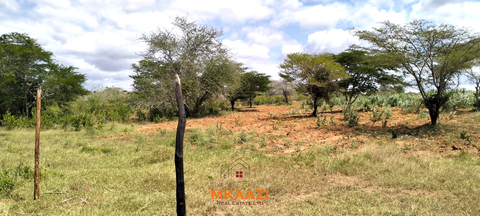 7-acre freehold agricultural land for sale or lease in Nyamala near River Sabaki with red soil, irrigation access, Napier grass cultivation, and elevated flood-safe terrain.