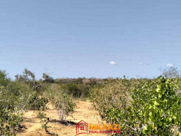 17-acre fertile virgin land for sale or lease in Nyamala, Baolala, Malindi with freehold title, next to a seasonal dam, ideal for commercial farming and agricultural investment.