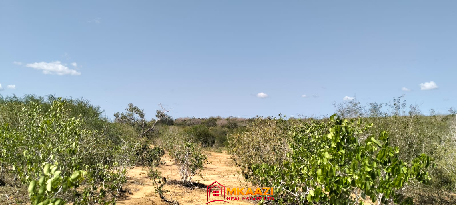 17-acre fertile virgin land for sale or lease in Nyamala, Baolala, Malindi with freehold title, next to a seasonal dam, ideal for commercial farming and agricultural investment.