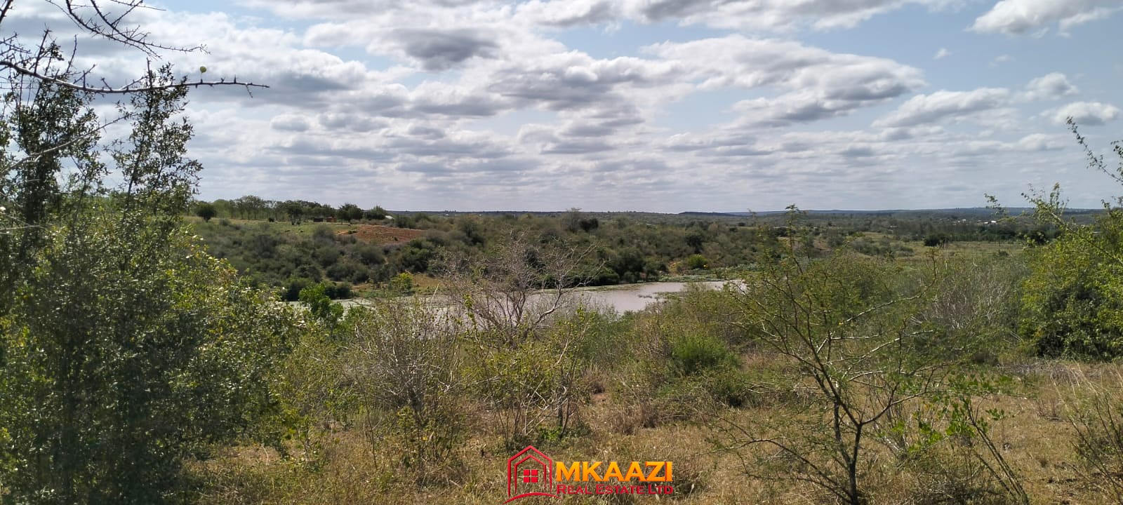 17-acre fertile virgin land for sale or lease in Nyamala, Baolala, Malindi with freehold title, next to a seasonal dam, ideal for commercial farming and agricultural investment.
