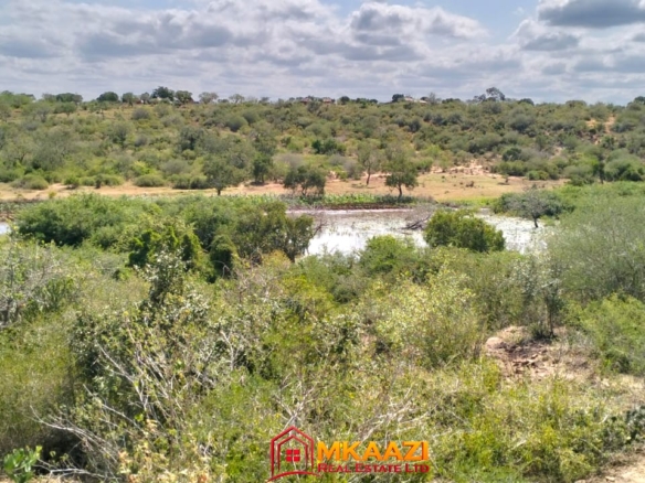 17-acre fertile virgin land for sale or lease in Nyamala, Baolala, Malindi with freehold title, next to a seasonal dam, ideal for commercial farming and agricultural investment.