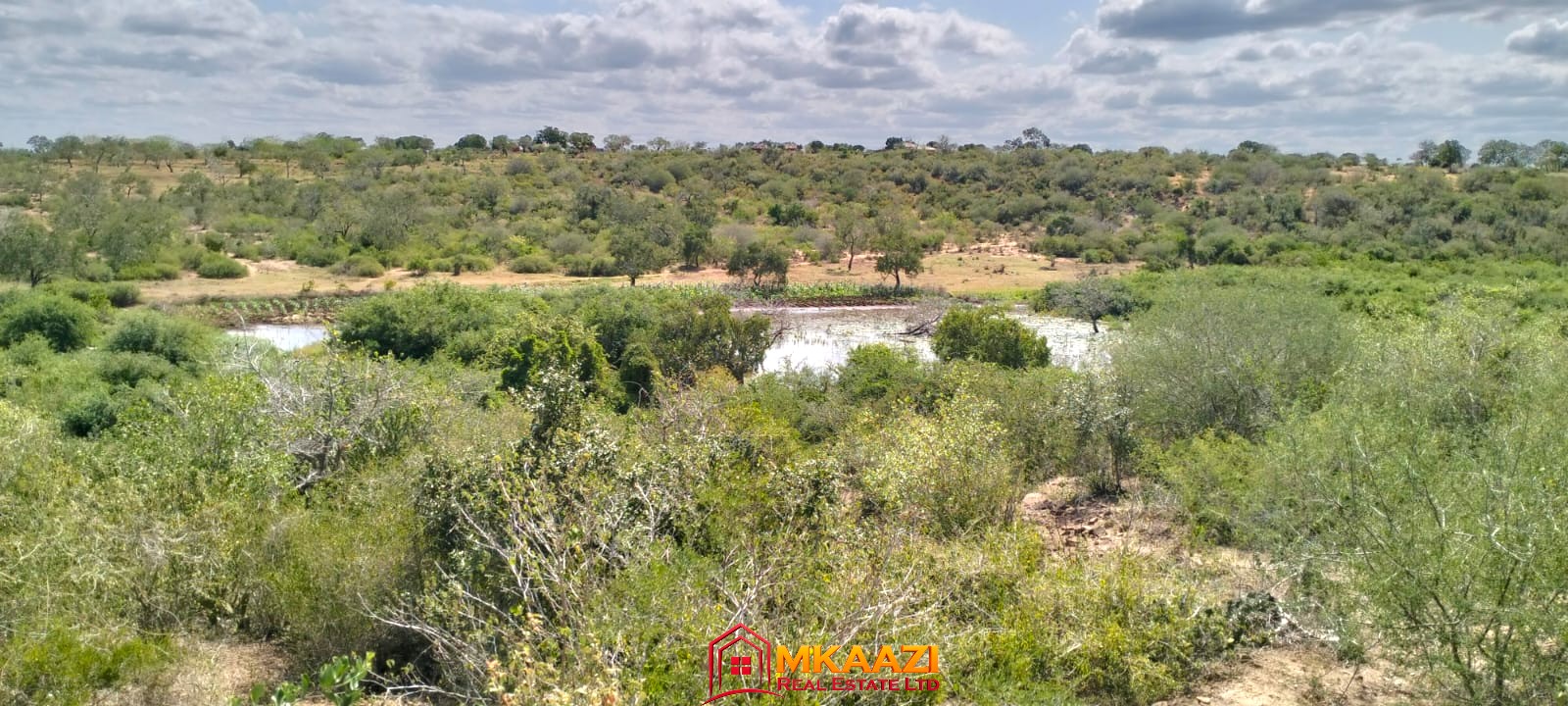 17-acre fertile virgin land for sale or lease in Nyamala, Baolala, Malindi with freehold title, next to a seasonal dam, ideal for commercial farming and agricultural investment.