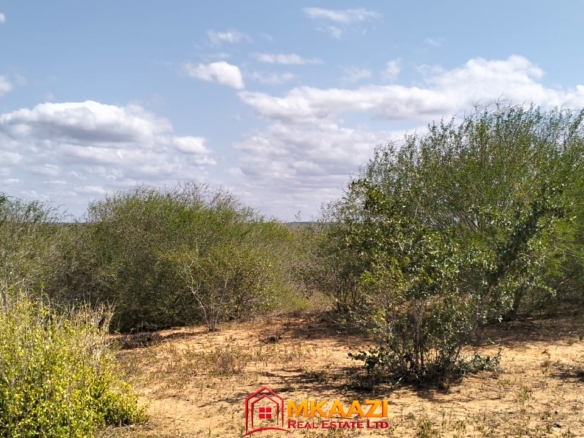 17-acre fertile virgin land for sale or lease in Nyamala, Baolala, Malindi with freehold title, next to a seasonal dam, ideal for commercial farming and agricultural investment.