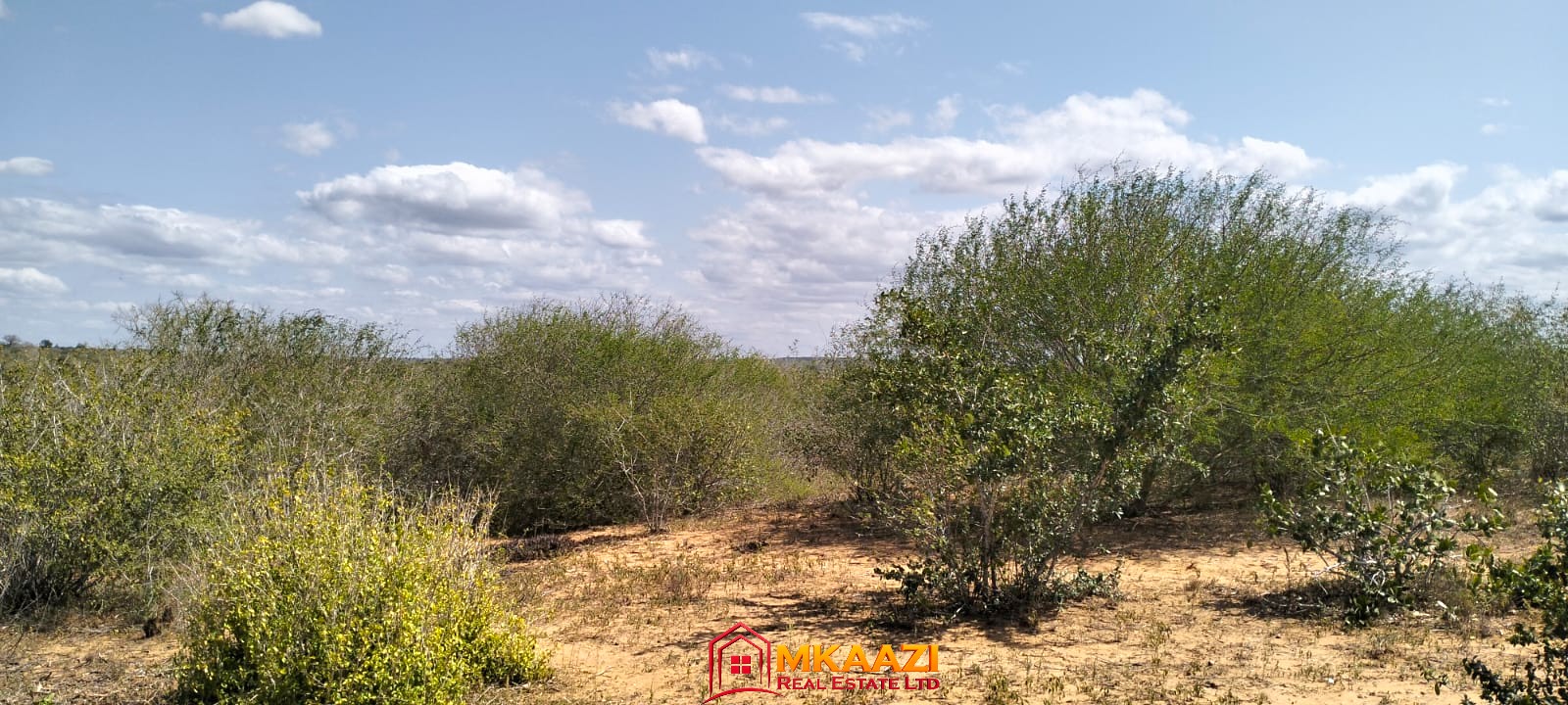 17-acre fertile virgin land for sale or lease in Nyamala, Baolala, Malindi with freehold title, next to a seasonal dam, ideal for commercial farming and agricultural investment.